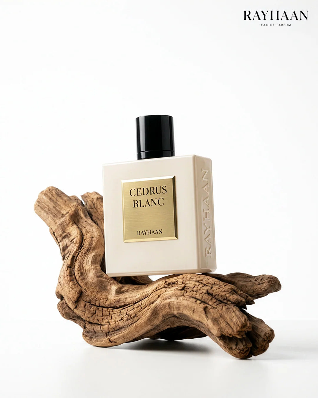 RAYHAAN CEDRUS BLANC